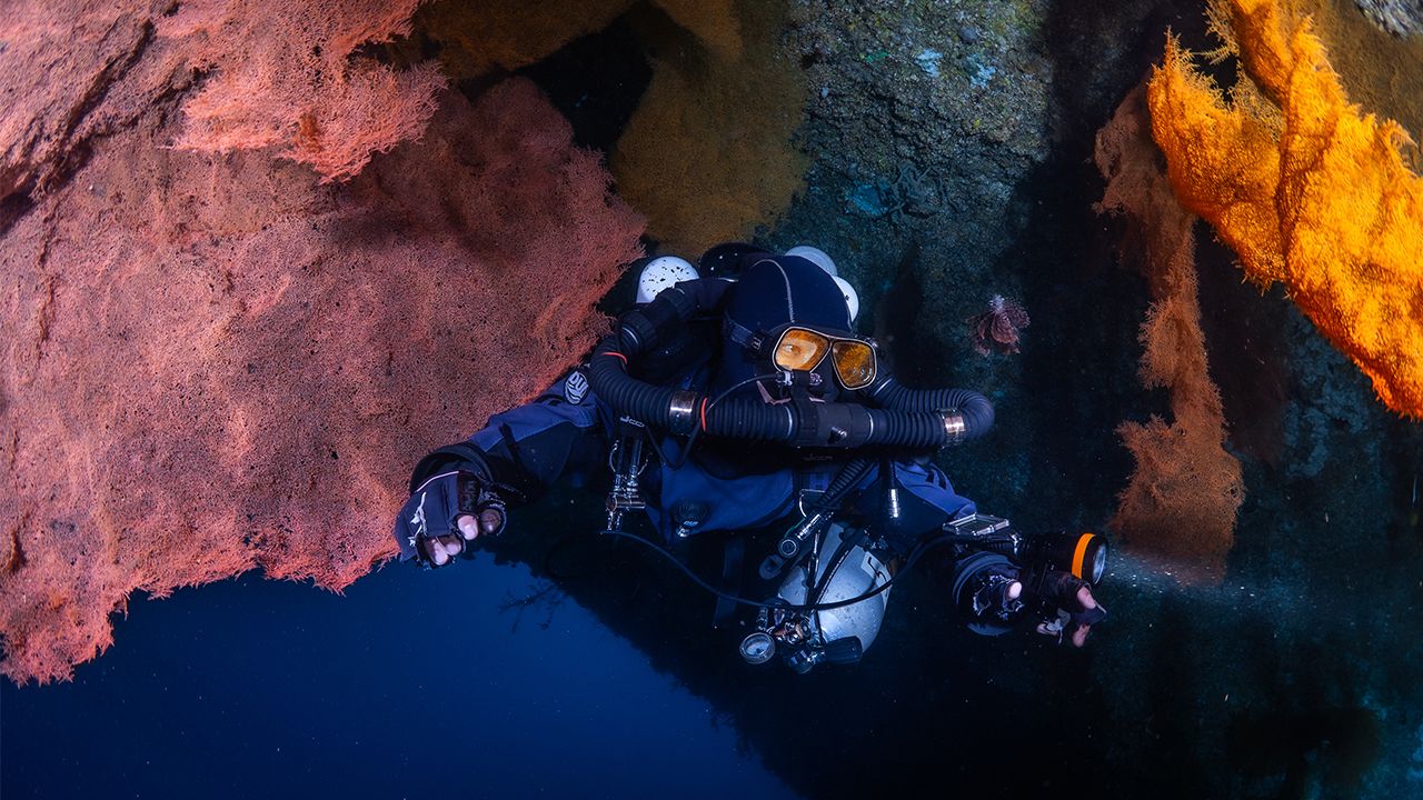 OrcaTorch木瓜视频 D630技術潛水照明