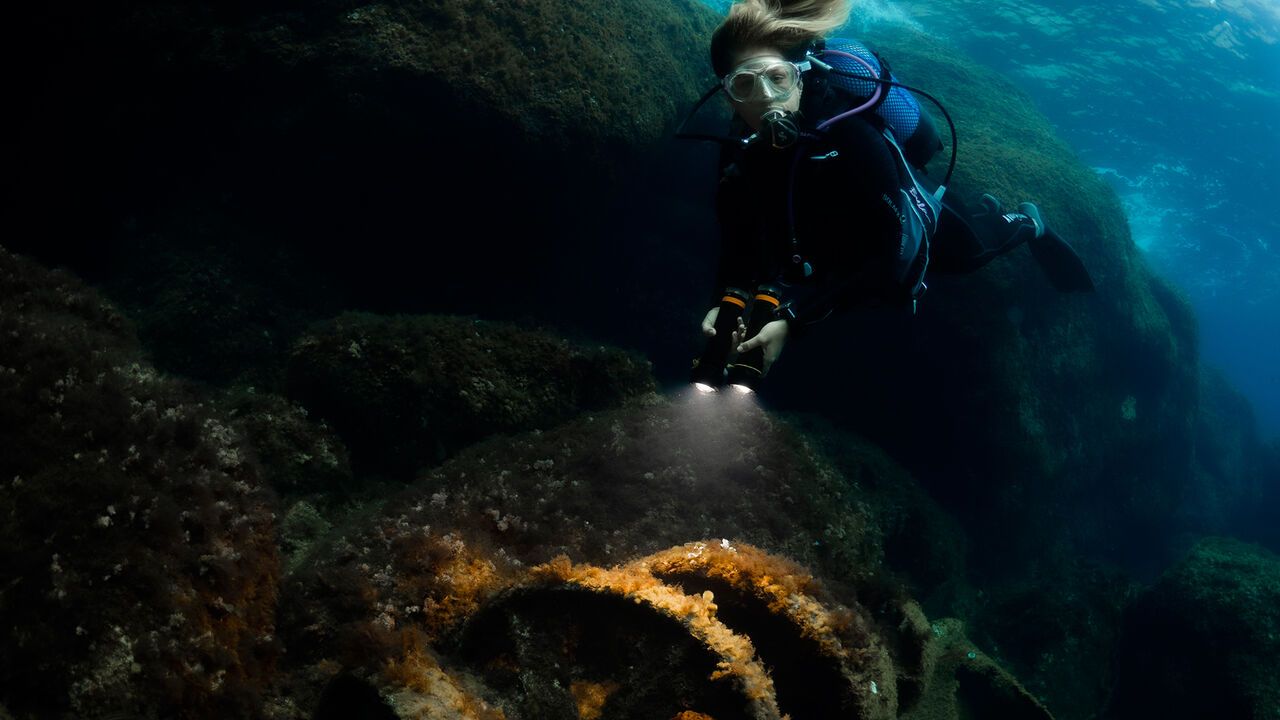 OrcaTorch木瓜视频 D950V