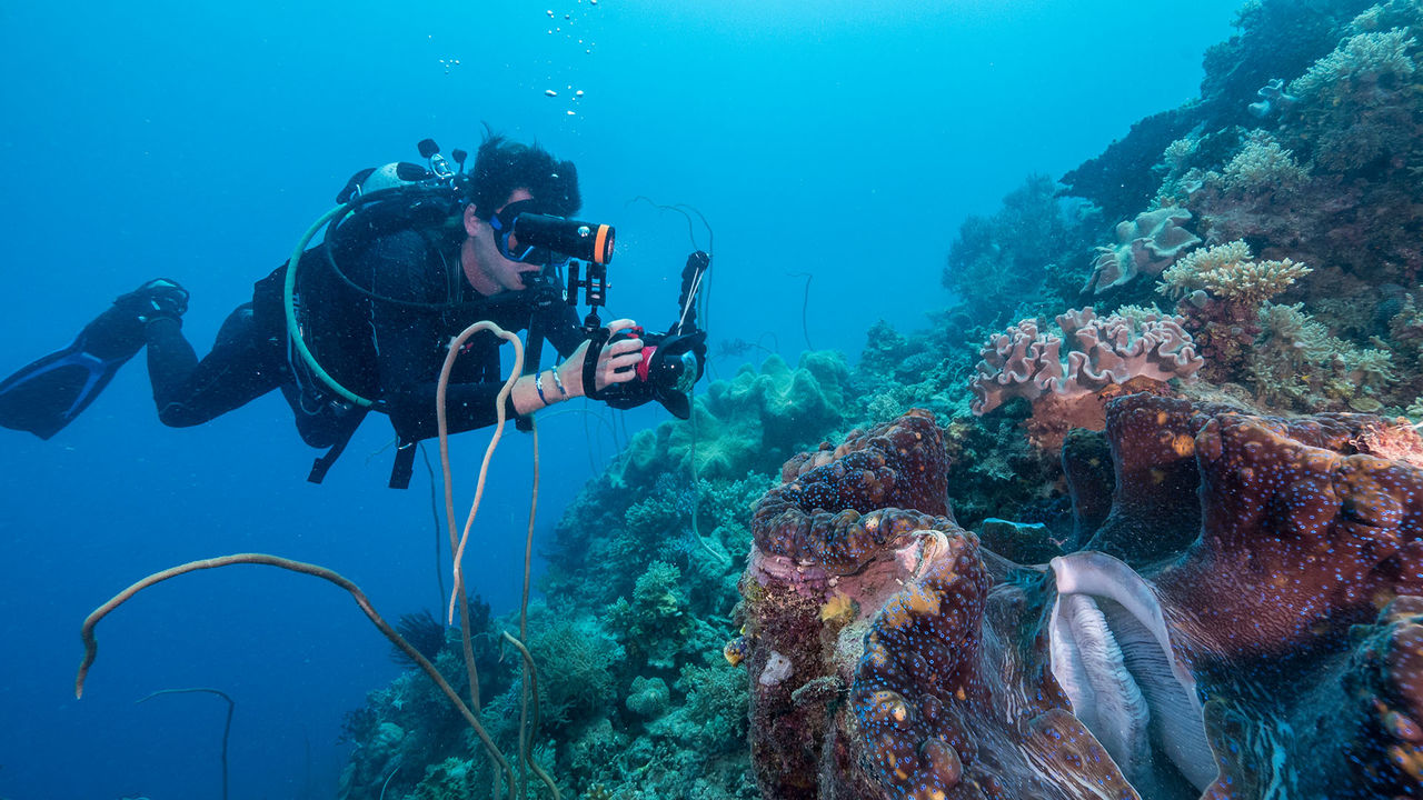 OrcaTorch 水下攝影手（shǒu）電筒
