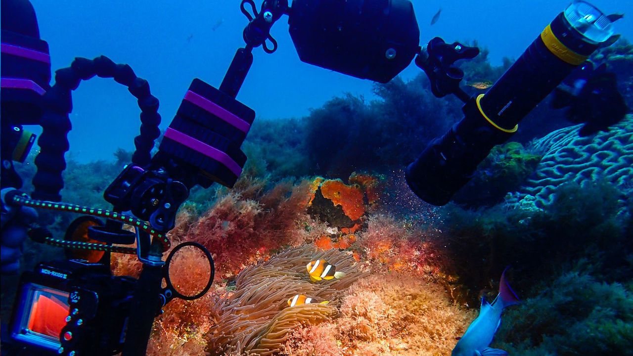 OrcaTorch 水下攝影手（shǒu）電筒