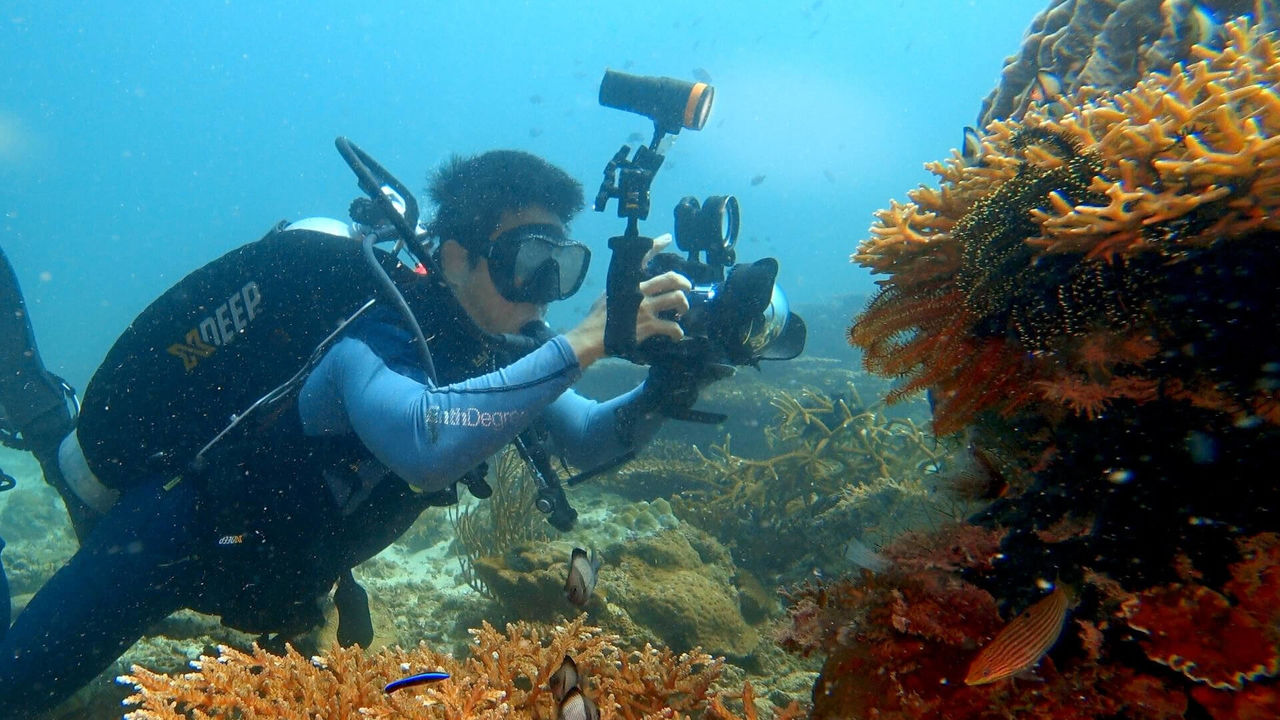 OrcaTorch 水下（xià）攝影手電筒