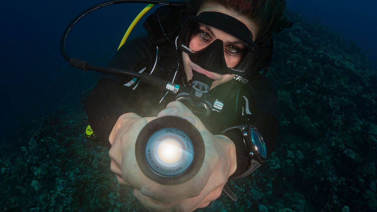 OrcaTorch虎（hǔ）鯨 D950V