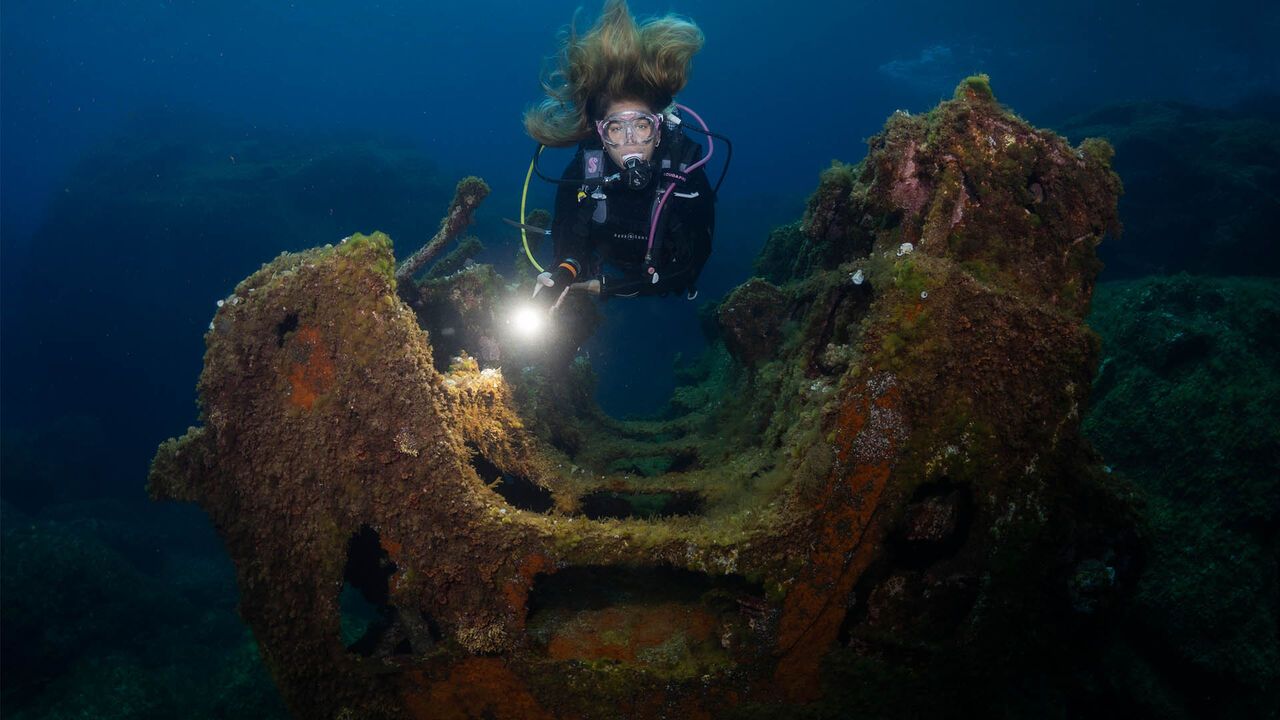 OrcaTorch木瓜视频 D950V