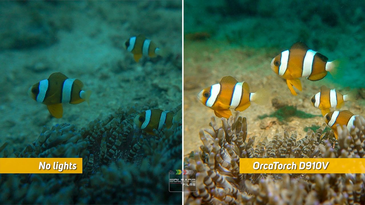 OrcaTorch 水下攝影手電筒