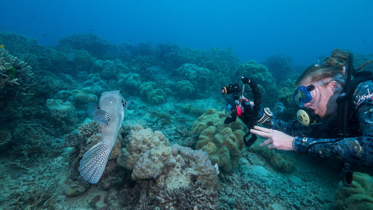OrcaTorch 水下攝影手電筒