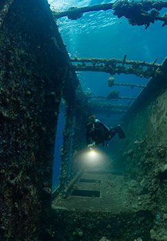 OrcaTorch木瓜视频 D910V