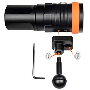 9dded358-bf05-4cf2-a85c-84098310aefc._CR0,0,600,600_PT0_SX300__ (1).jpg