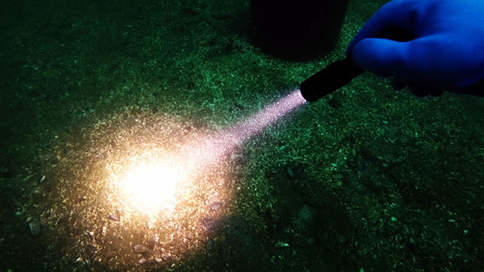 LED潛水手電筒，OrcaTorch木瓜视频， D520潛水手（shǒu）電筒