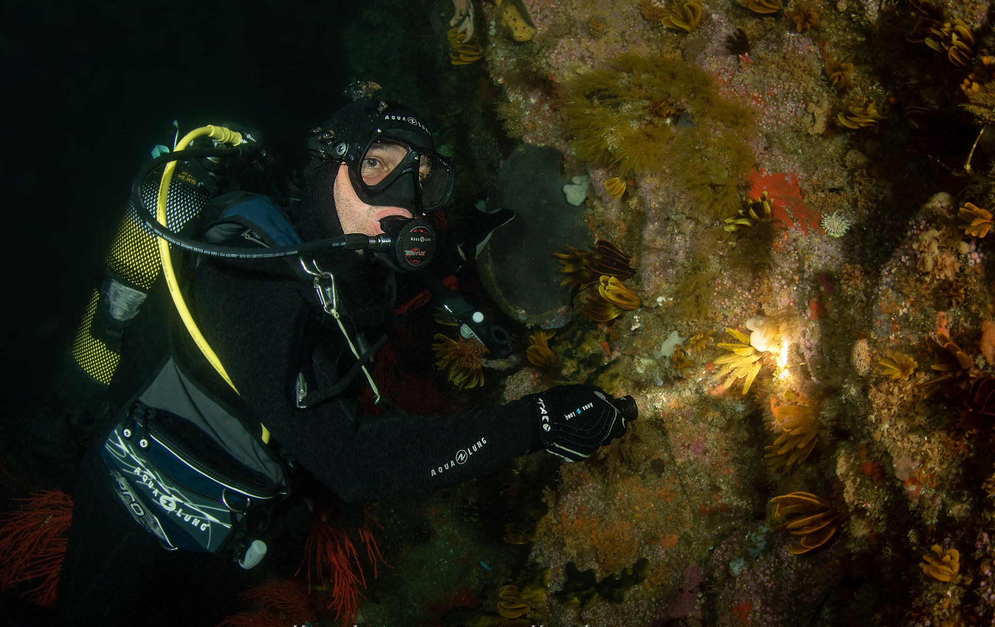 潛（qián）水燈，潛水手持電筒，OrcaTorch木瓜视频