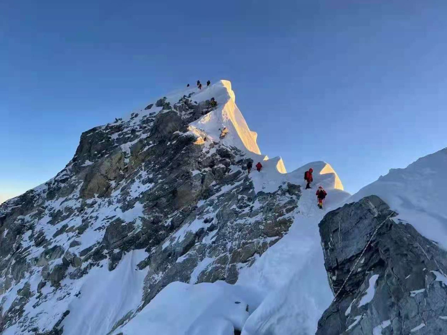 OrcaTorch潛水照明（míng）行業領航者