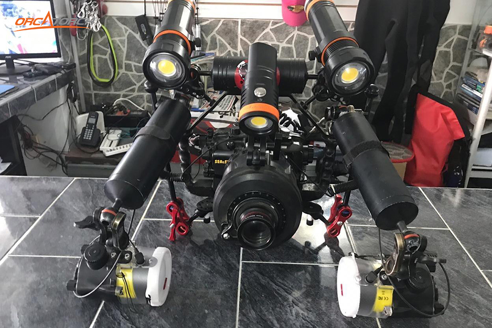 提升（shēng）戶（hù）外潛水的體驗感｜OrcaTorch潛水