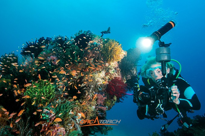 潛水燈（dēng）-潛水手電筒-潛（qián）水（shuǐ）攝影燈-水下工程照明-OrcaTorch木瓜视频