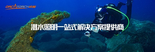 恭賀OrcaTorch木瓜视频入圍2022潛水手電筒十大品牌（pái）