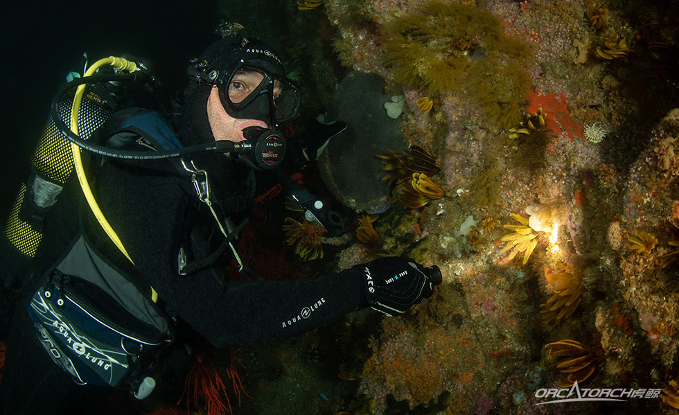 【潛水裝備】一支激光+強光的潛水手電筒