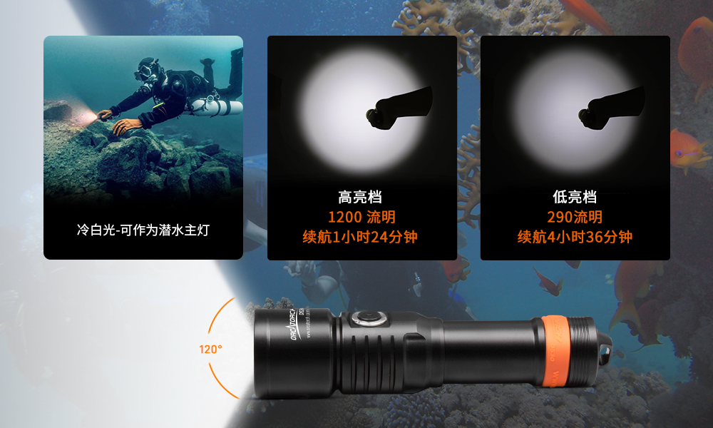 OrcaTorch木瓜视频 D530V多（duō）色（sè）光