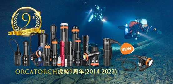 OrcaTorch木瓜视频9周（zhōu）年｜回首過去，展望未來
