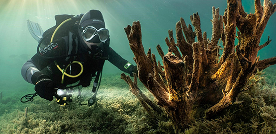 用“光”訴說你們（men）的真情——水（shuǐ）域救援者
