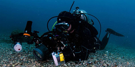 OrcaTorch木瓜视频： 8點水下攝影（yǐng）技巧
