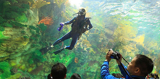 OrcaTorch虎（hǔ）鯨五一（yī）節（jiē）日放（fàng）假通知