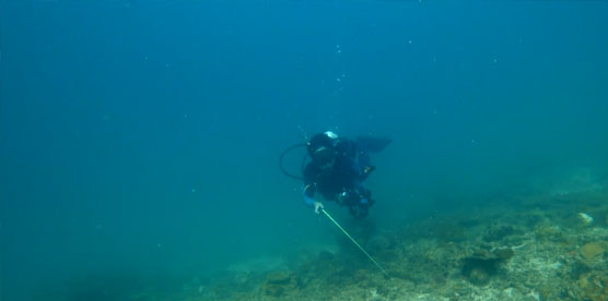 OrcaTorch木瓜视频D570 GL潛水手電筒測（cè）評