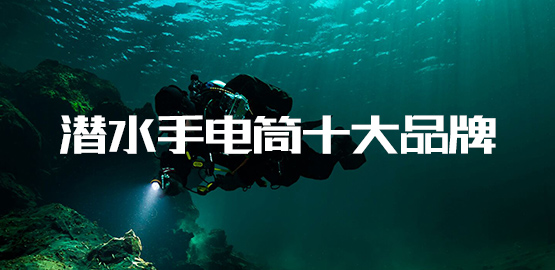 恭賀OrcaTorch虎（hǔ）鯨入圍2022潛水（shuǐ）手電筒（tǒng）十大品（pǐn）牌