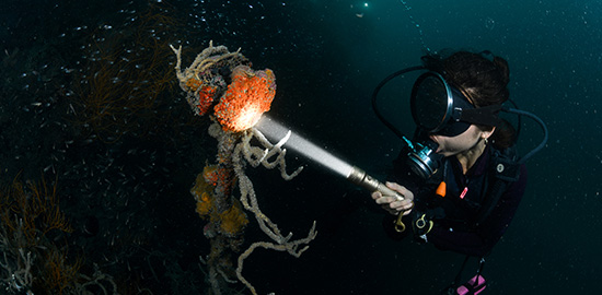 【展會資訊】邀請您（nín）參加2026新加坡（pō）潛水展（2026年4月10-12日 ）