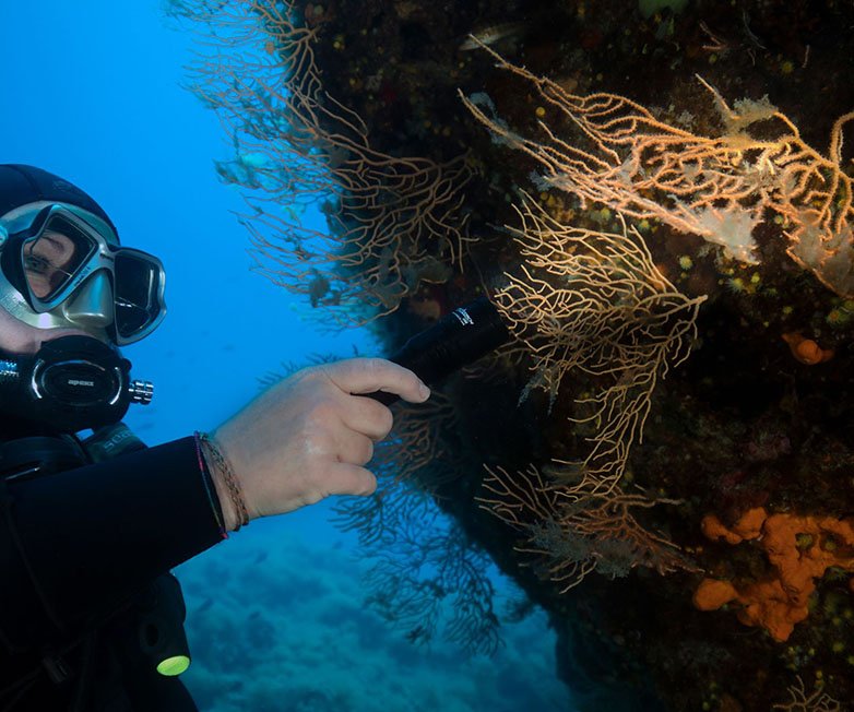 OrcaTorch虎（hǔ）鯨 D580機械開關電筒（tǒng），休閑潛水燈，潛水手電（diàn）筒，水下工程照明，潛水裝備