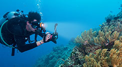 Orcatorch木瓜视频 D910潛水手電筒 攝影燈水下評（píng）測