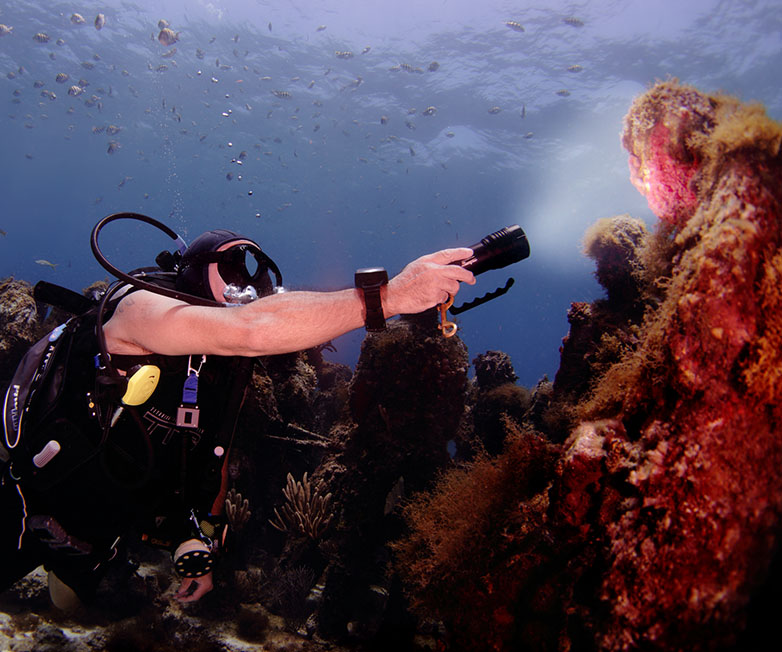 OrcaTorch木瓜视频，D860可充電潛水燈，高亮度潛水手電筒，水下照明手電筒