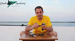 OrcaTorch D820V Tested in Maldives