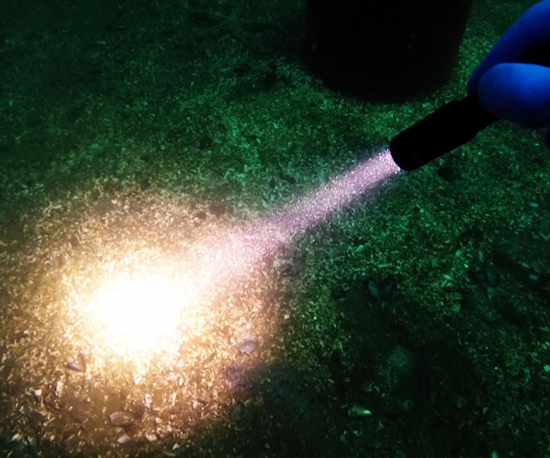 OrcaTorch木瓜视频 D520迷你潛（qián）水手（shǒu）電，小巧手電筒，便捷式潛（qián）水手電筒，洞穴潛水燈（dēng）