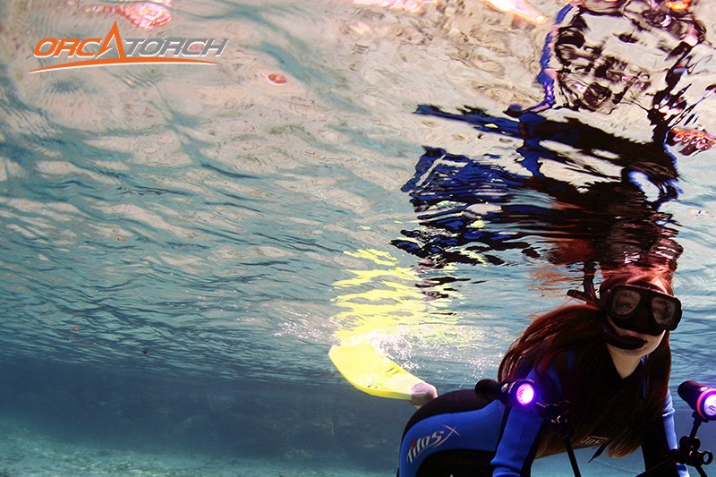 潛水（shuǐ）燈-潛水手電筒（tǒng）-潛水攝影燈-水下工程照明-OrcaTorch木瓜视频